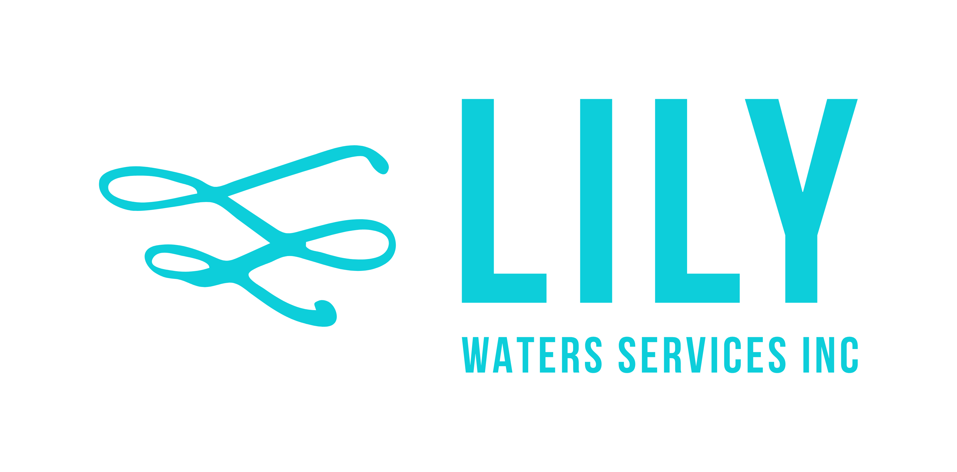 Lily Waters Services Inc